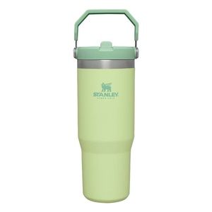 NWT Stanley IceFlow Flip Straw Tumbler in Citron